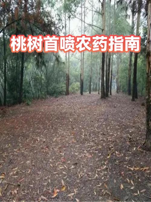 桃树多长时间打一次农药合适图标