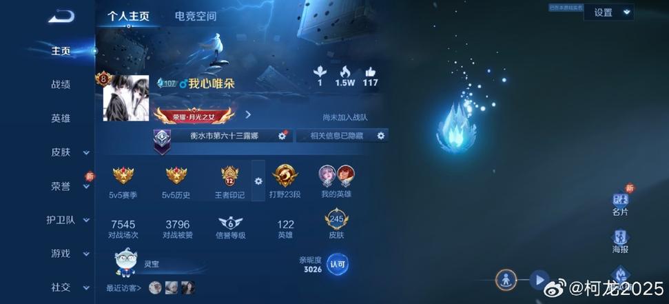 王者荣耀输入id搜不到图标