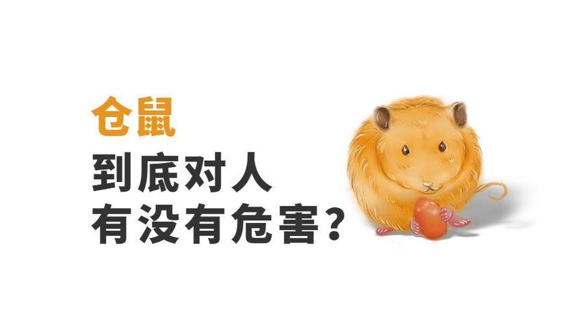 仓鼠对人有什么危害吗图标
