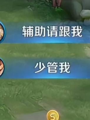 王者荣耀硬软辅助怎么玩缩略图