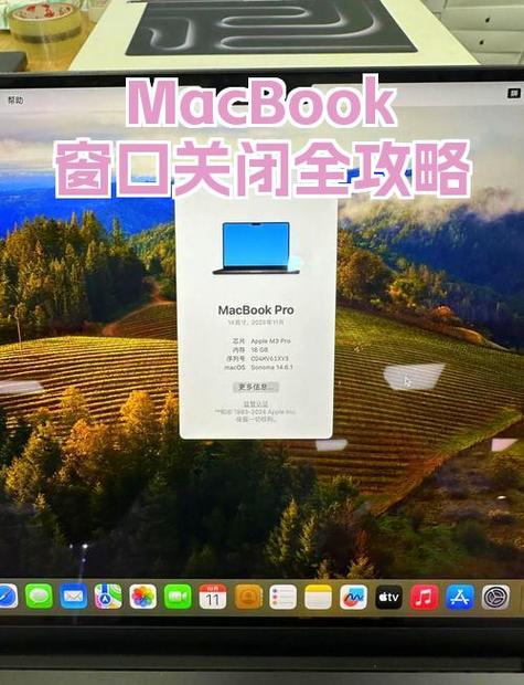 苹果电脑怎么关闭窗口图标