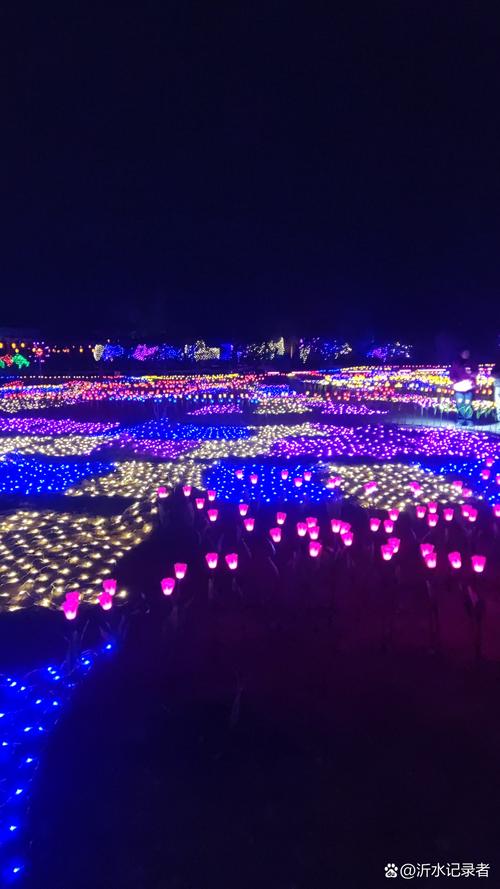 地图淘金能夜拍吗图标