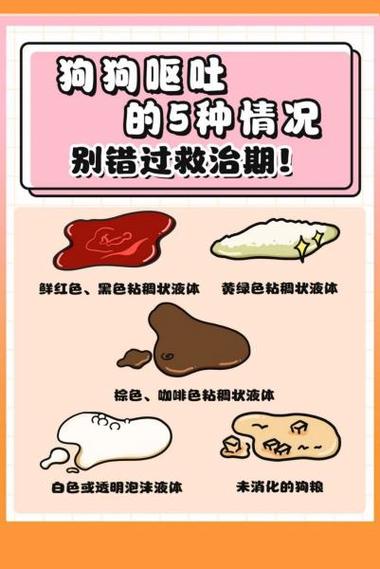 狗总是呕吐是什么原因图标