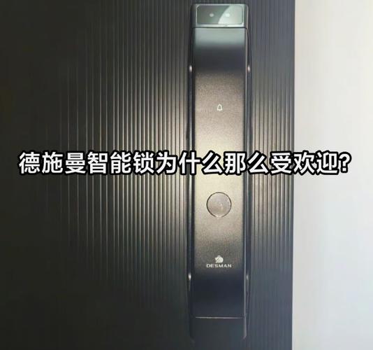 德施曼锁蓝牙按钮在哪个位置图标