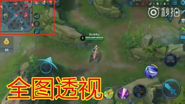 王者荣耀ios透视截图