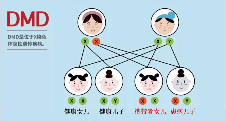 家族遗传包括哪些家人图标