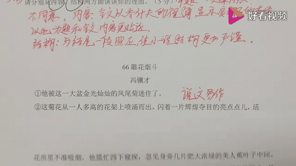雕花烟斗阅读理解答案图标