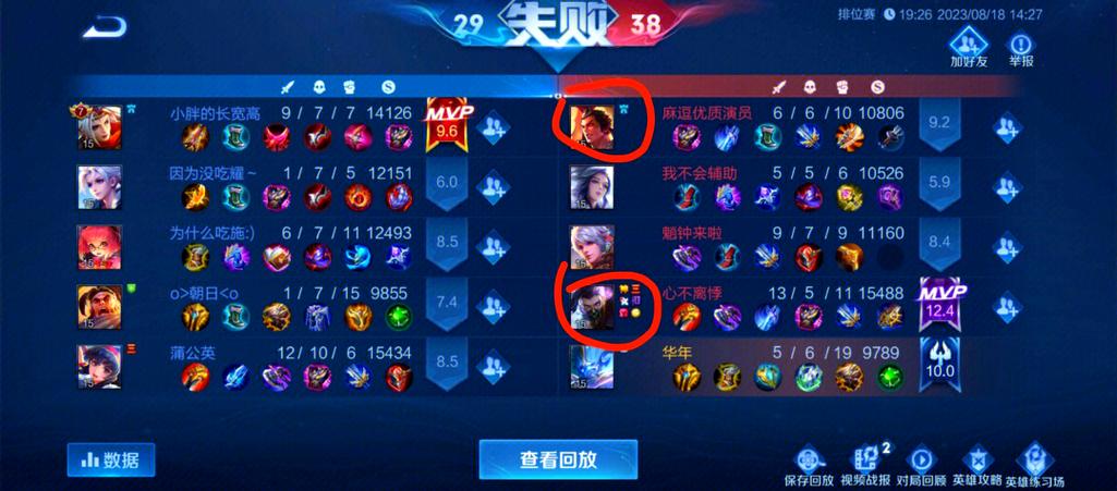 王者荣耀虐心辅助有哪些缩略图
