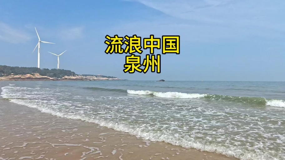 大菠萝福海纳百川图标
