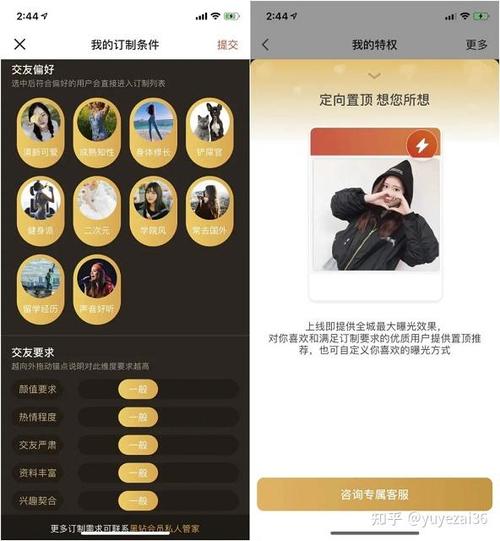 探探5万块一年土豪会员图标