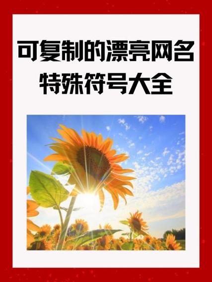 带特殊符号的微博网名唯美好看简单漂亮的网名带符号图标