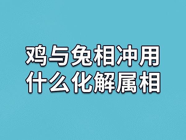 鸡免相冲是什么意思图标