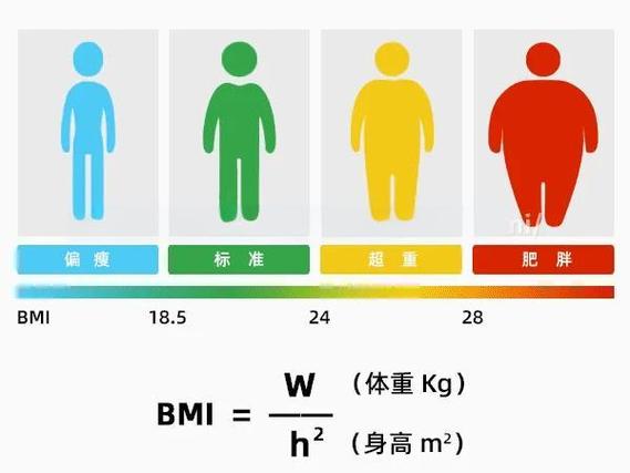 人体健康指标对照表图标