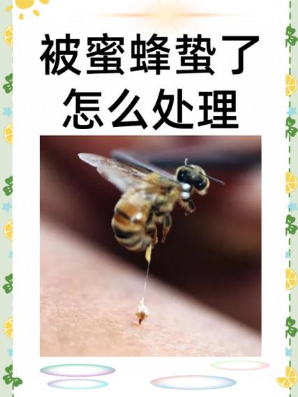 蜜蜂来了是什么平台图标
