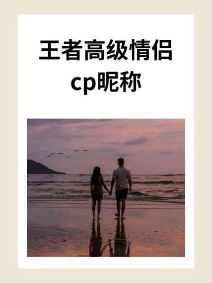 王者荣耀射手辅助的情侣id游戏截图