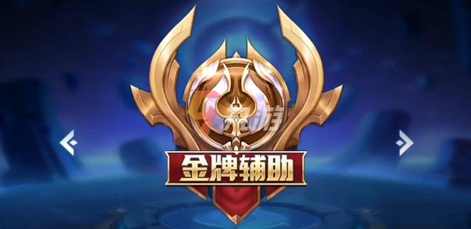 王者荣耀金银牌辅助判定缩略图