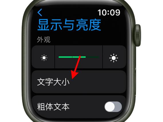 苹果手表字体突然变大输不上密码图标