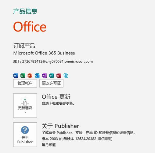 微软publisher干嘛用图标