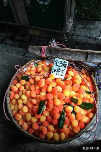 金西梅图标