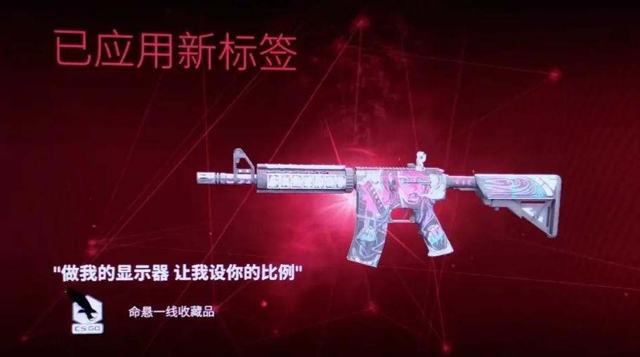 csgo枪能改名几次图标