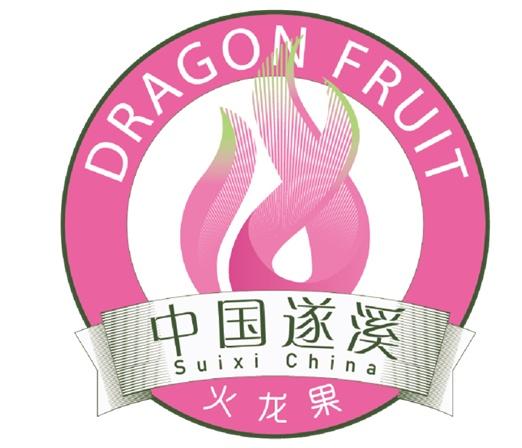 火龙果英文发音图标