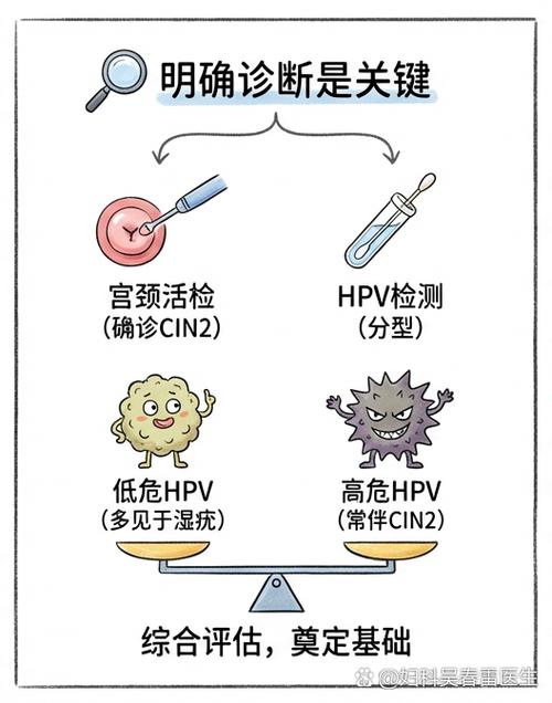 宫颈cin2级能治愈吗图标
