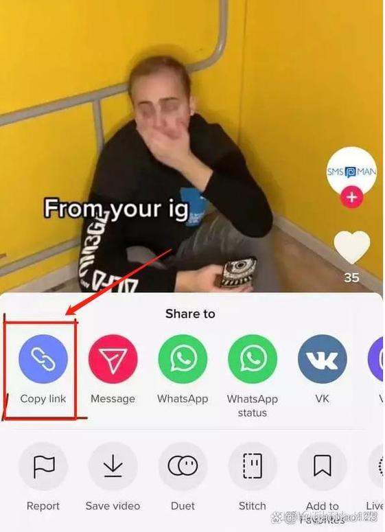 国外tiktok怎么去水印图标