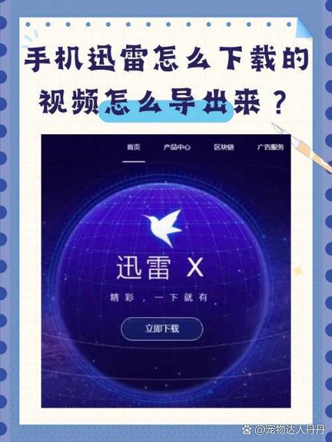 手机迅雷下载的视频文件在哪图标