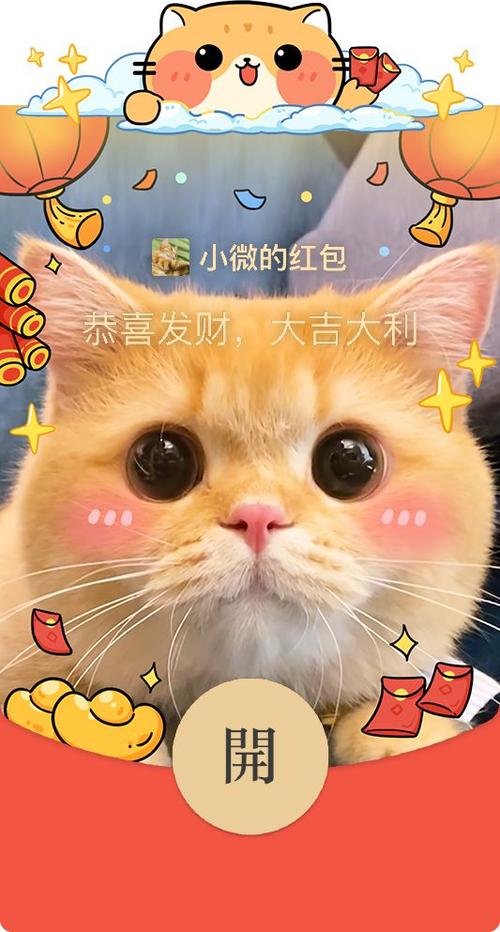 猫咪视频破解版红包版图标