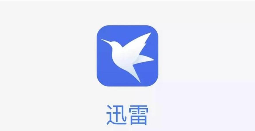 迅雷旧版本6.0图标