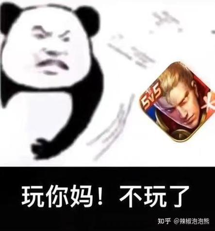 王者荣耀打辅助表情包缩略图
