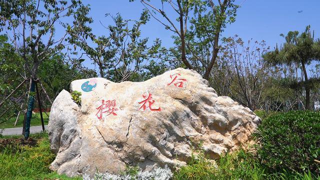 徐州樱花谷风景区在哪里缩略图