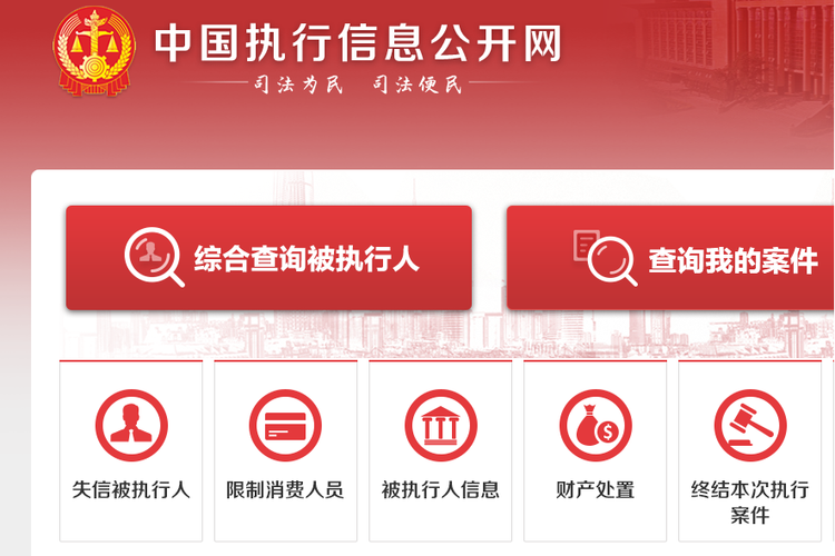 中国执行信息公开网登录入口官网图标