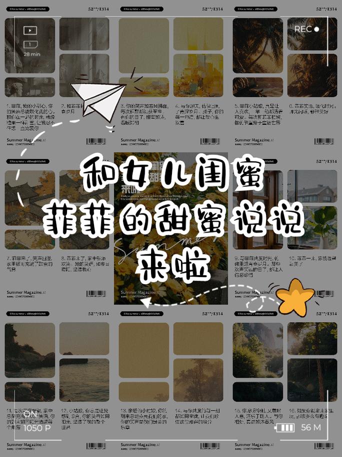老秦女儿的闺蜜菲菲小说叫什么图标