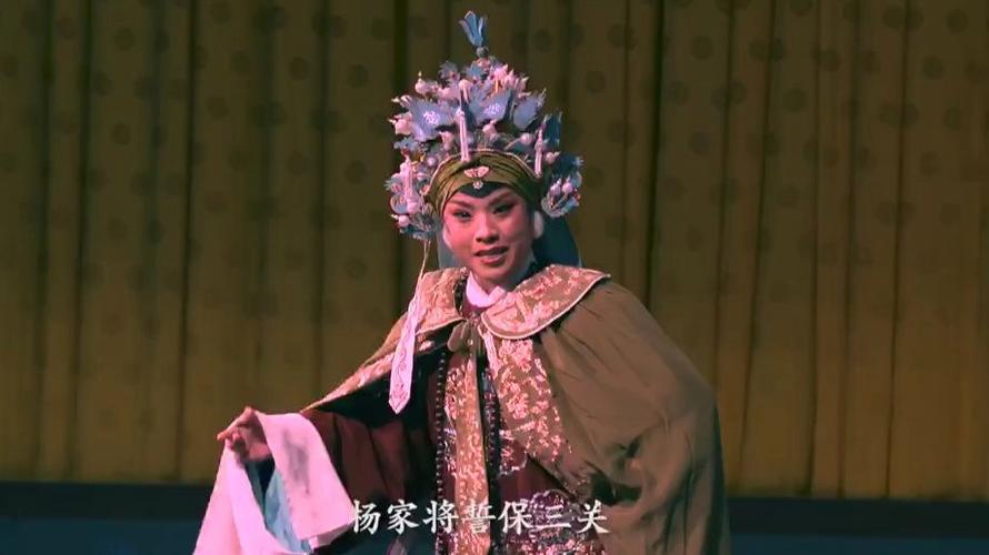 豫剧李焕娜个人资料图标