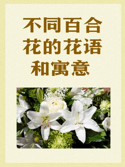白百合的寓意和象征图标