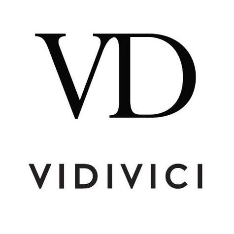 vidivici官网查询真伪入口图标