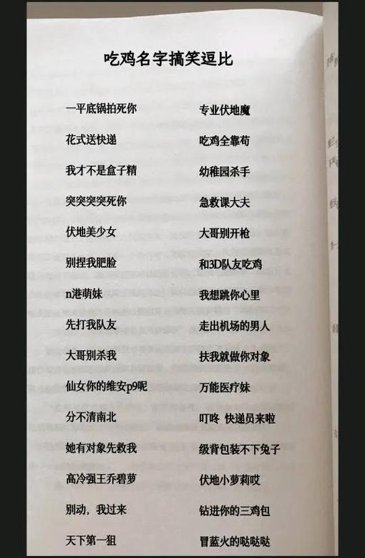 吃鸡网名缩略图