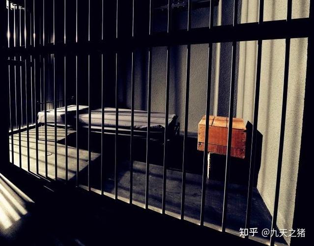 猫咪关小黑屋能变乖吗图标
