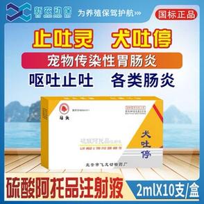 狗呕吐用什么药治疗图标