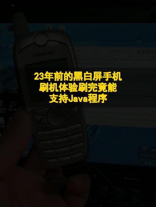 手机变成黑白屏图标