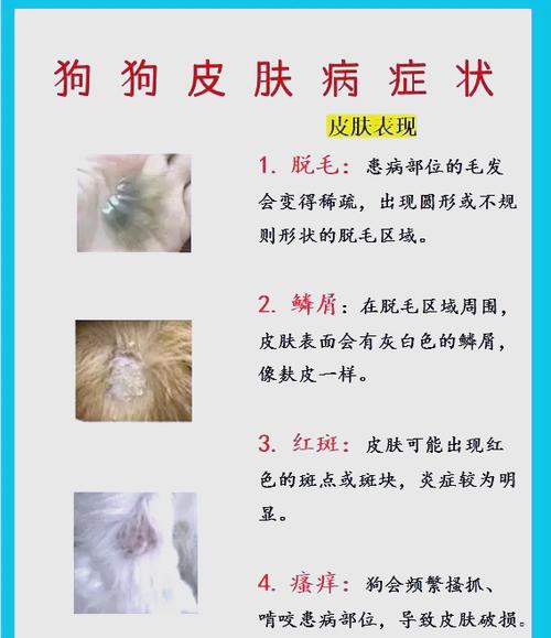 狗狗皮肤痒一直挠怎么办图标