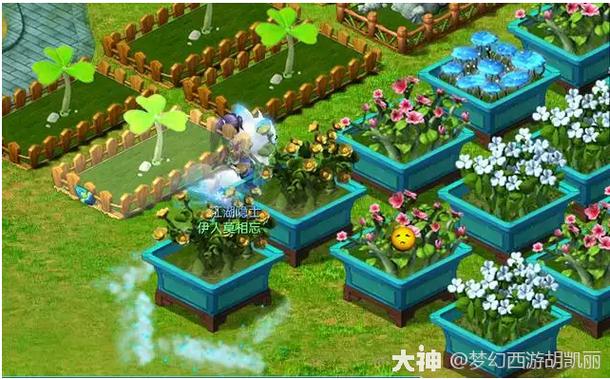 梦幻西游扩建庭院要多少钱图标