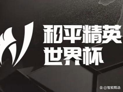 和平精英透视上色代码图标