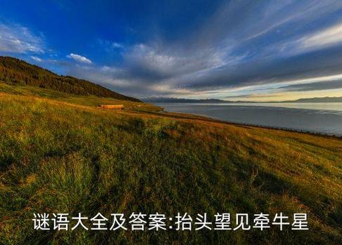 全面开荒打一成语是什么成语图标