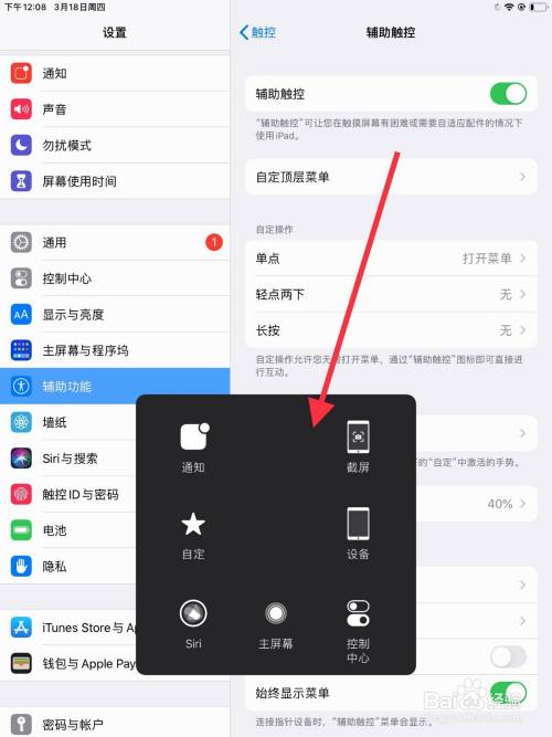 苹果pad上的小圆圈在哪设置图标